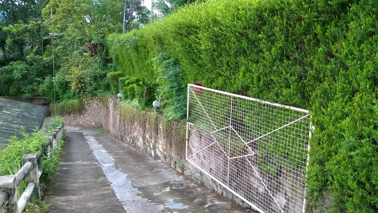Evergreen แคนดี้ ภายนอก รูปภาพ